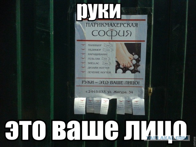 Просто забавные фотки из мобильника