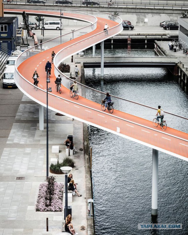 Велодевушки