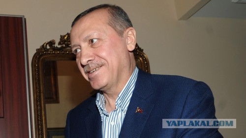 Эрдоган назвал палестинский террор «благородным»