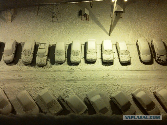 Вечерняя прогулка с дочкой и собакой