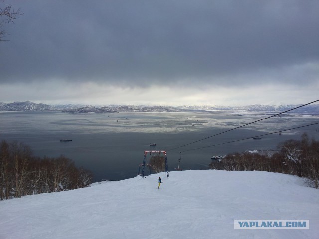 Утомленные икрой: какая она, жизнь на Камчатке?