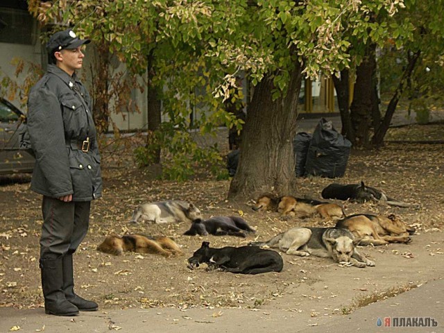 МИЛИЦИЯ. Нас бережет, менты, копы, гаишники
