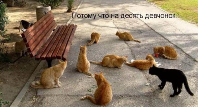 В преддверии упоротой пятницы
