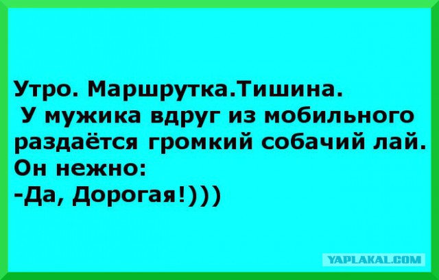 Он и она-2. Подборка анекдотов 16+.