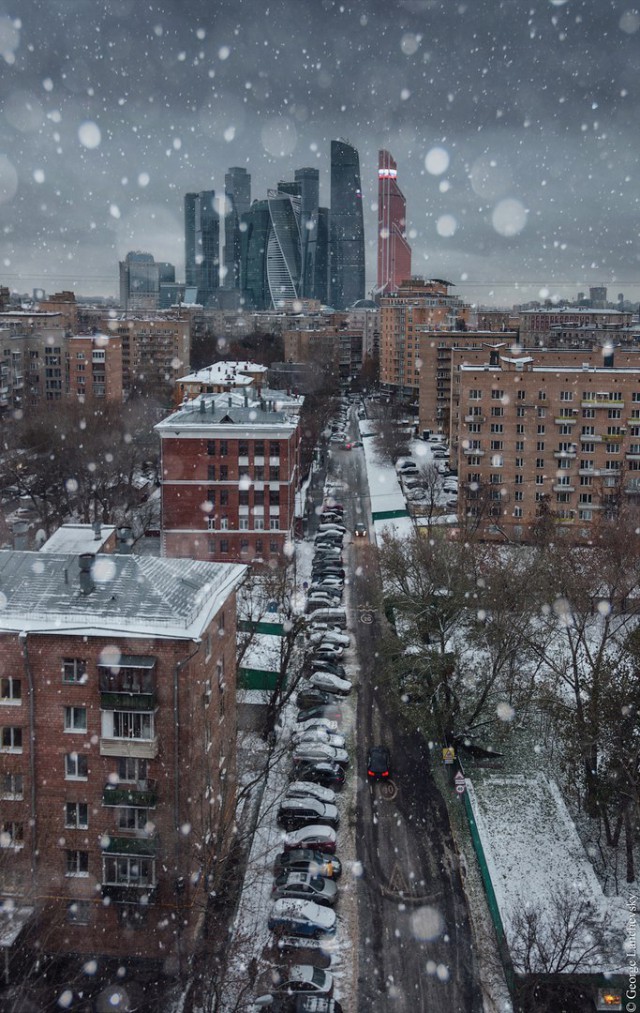 Моменты, запечатлённые на фото и просто позитив 5
