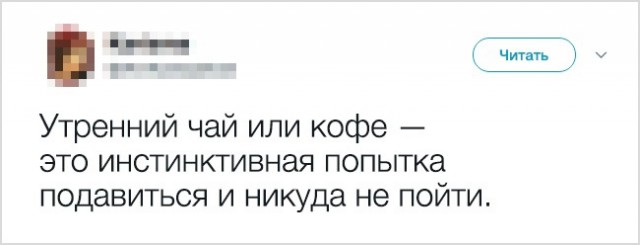 Доказательства того, что взрослая жизнь — настоящий аттракцион безумия