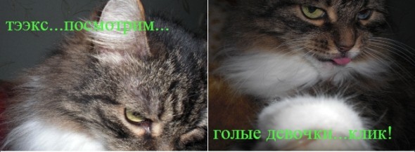 Горячие девочки