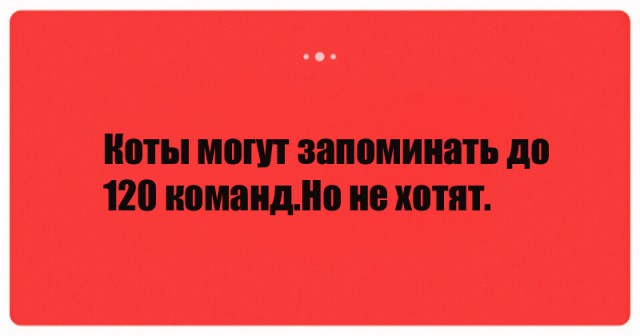 Анекдоты, истории и картинки с надписями