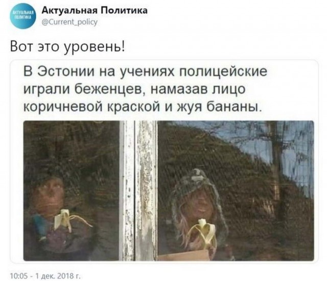 Пара-пара-пам! Фьють. Картинки с надписями. И без. 29.02.20