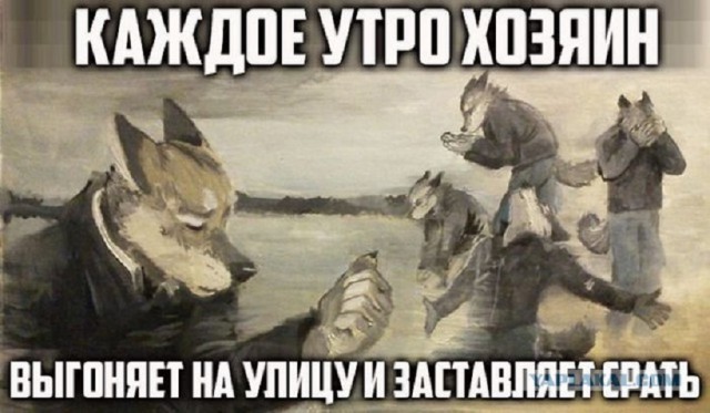 Не очень адекватный юмор