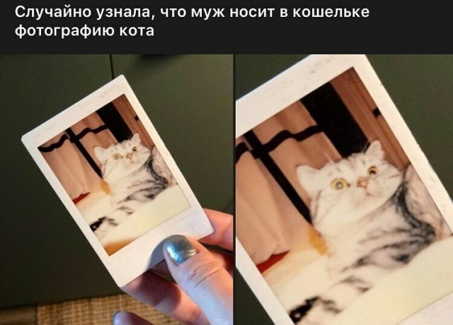 Юмор в картинках 03.10.20