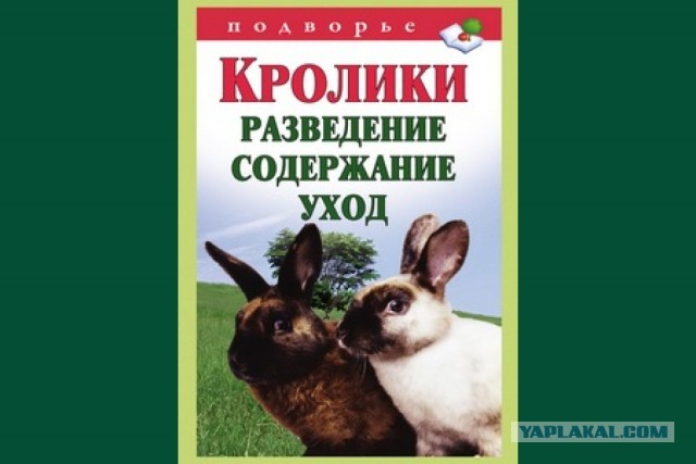 Вырезали ночью катализатор