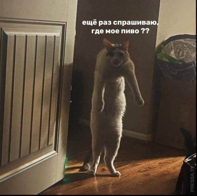 Картинки и мемы для настроения 016