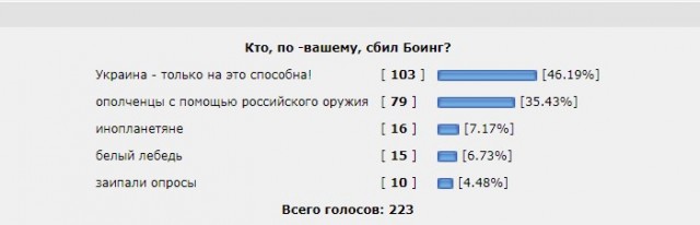 Появились показания свидетелей ракетного пуска перед крушением «Боинга» MH17