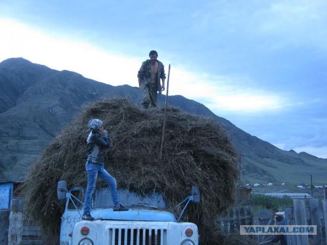 Выдержит? Проедет? А куда он денется!