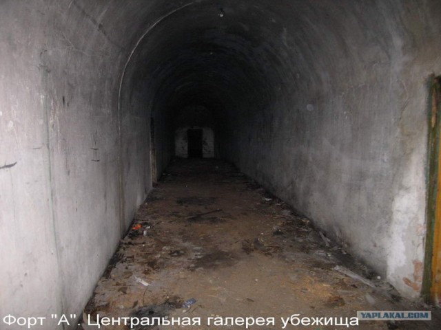 Форты Бреста