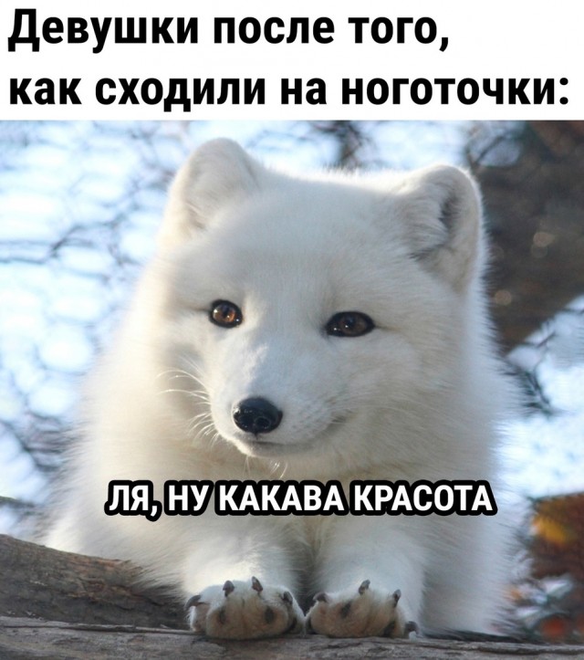 Так себе картинки 03.04.22