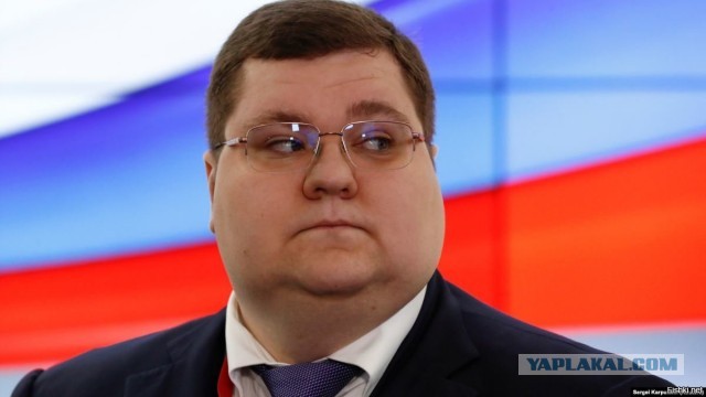 Чайка-попрошайка по имени Олег