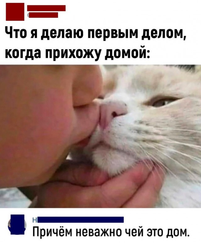Так себе картинки 15.07.22