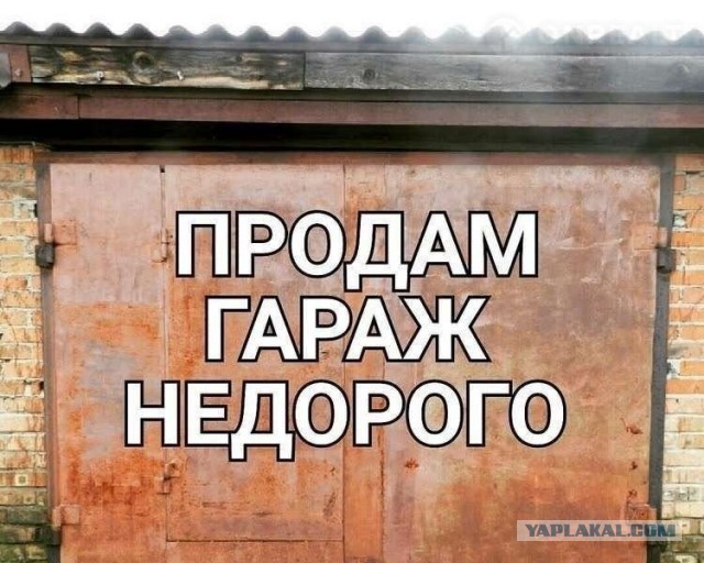 Весь интернет сейчас