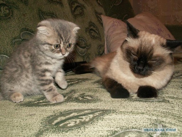 Хороший отдых