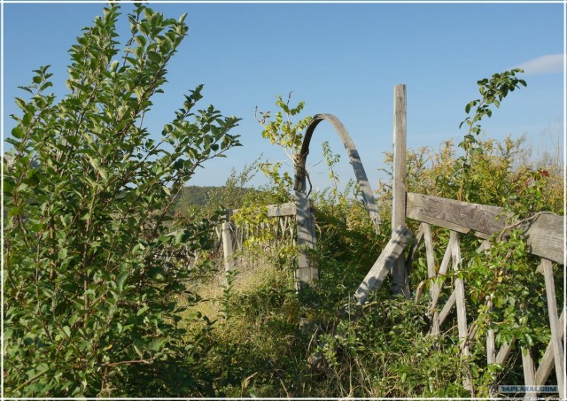 Крым. Змеиная балка. Терень-Джалга.