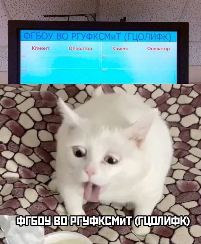 Весёлый полтишок 19.01.23