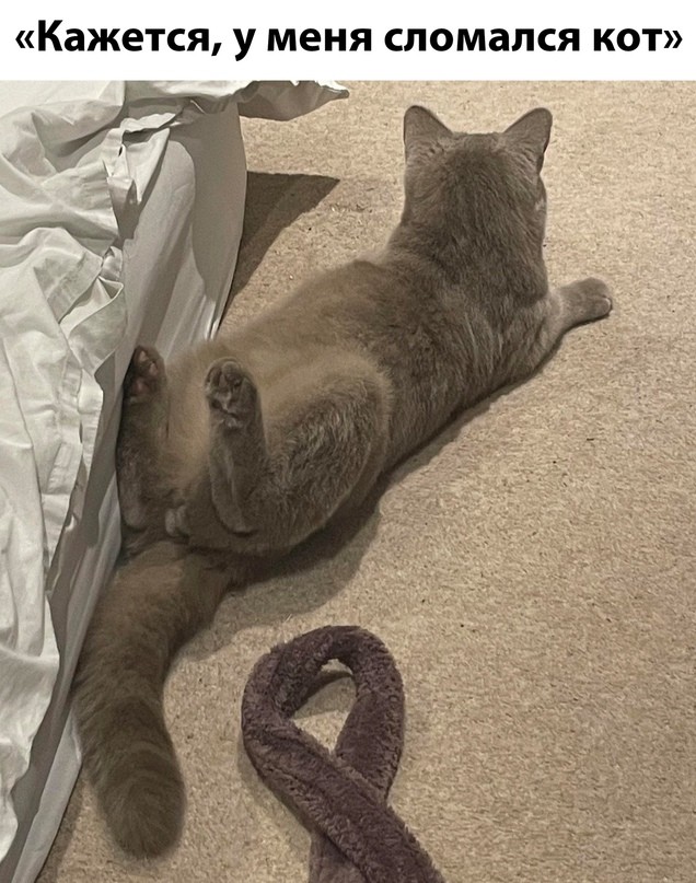 Весёлый полтишок 28.02.23