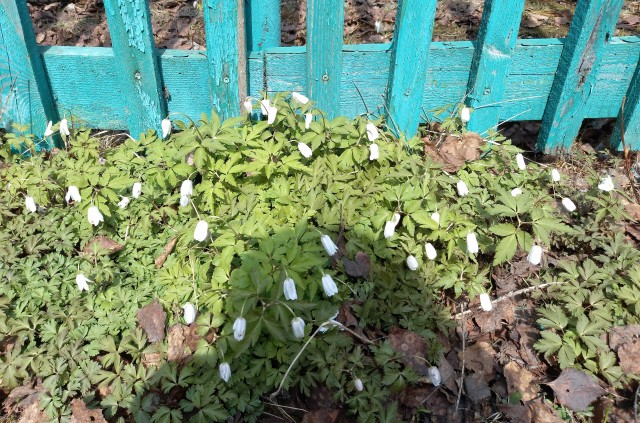 20.05.23. Восточная Сибирь...