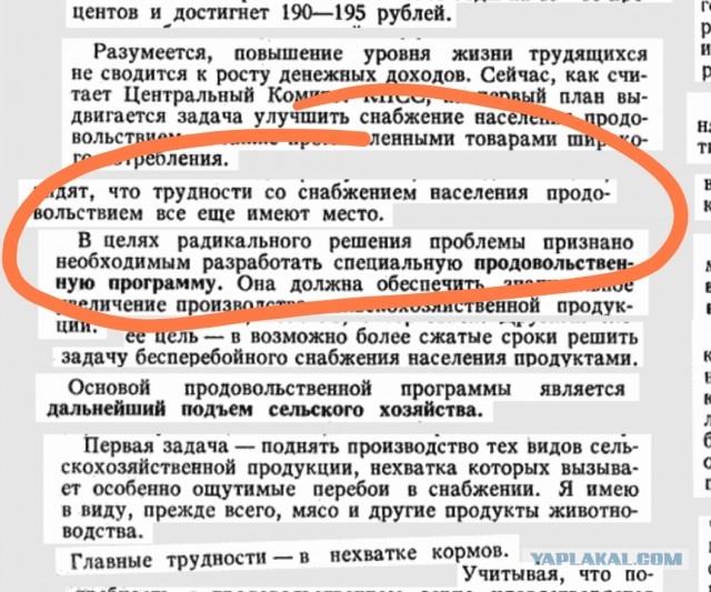 Шашлыки и пикники в СССР: 10 фото традиционных блюд и семейных посиделок на природе