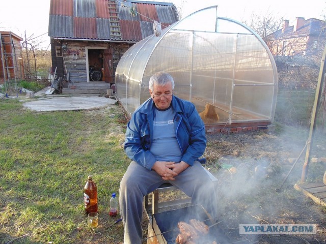 Дача, грибы, мясо, овощи.