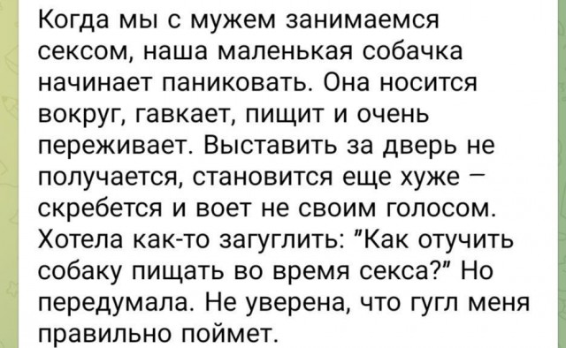 Всего понемногу. От 27.02.24