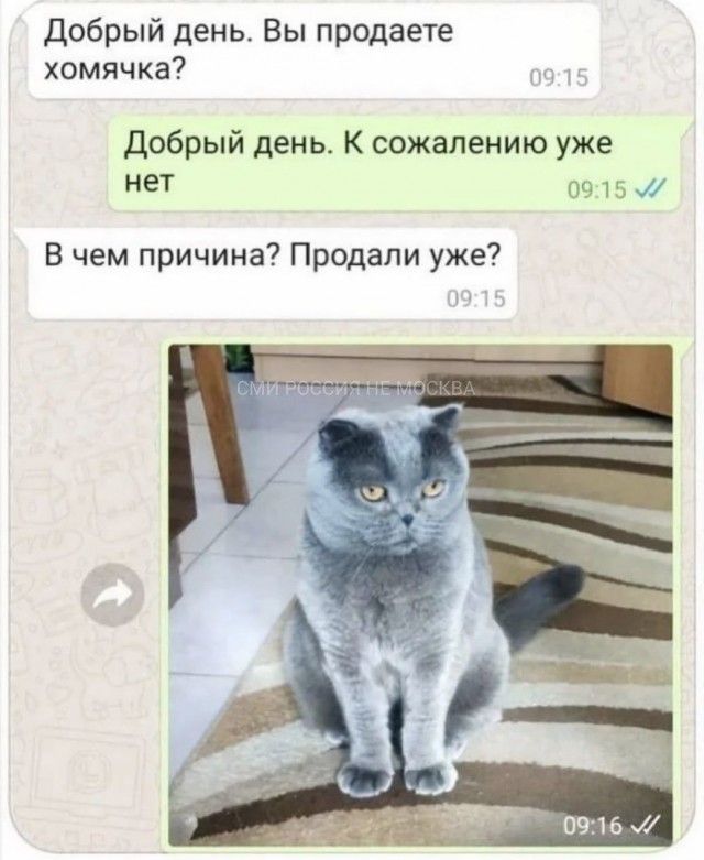 Заплакал даже Хемингуэй...