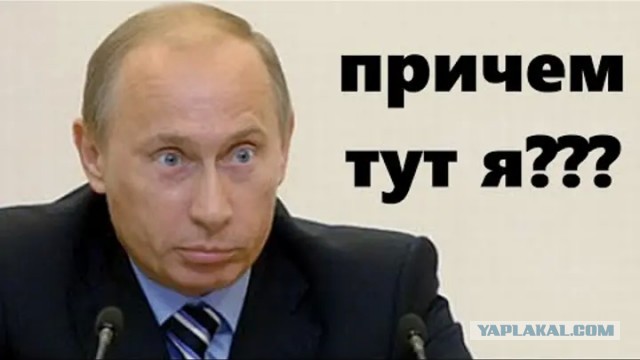 «Я здесь Путин, понятно?!» Водитель краснодарской маршрутки возомнил себя большим начальником и спровоцировал конфликт