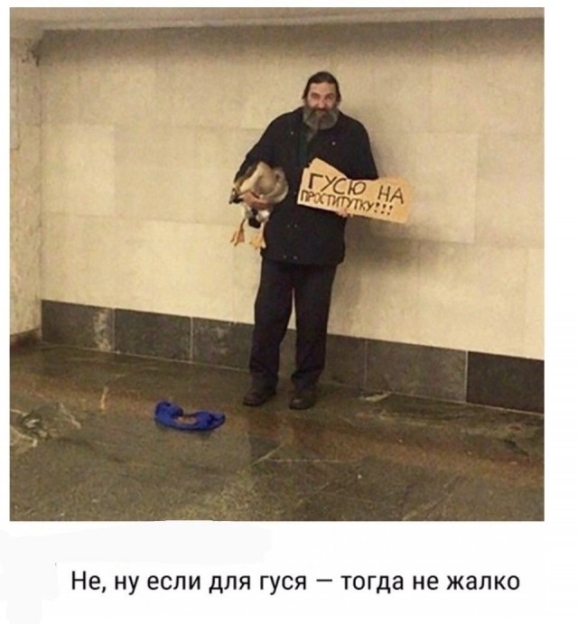 Так себе картинки 08.11.24