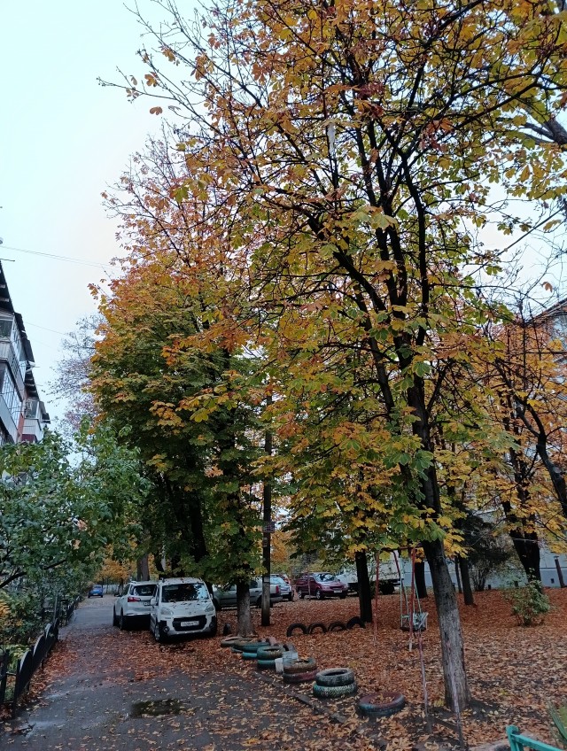 Всем доброе утро!