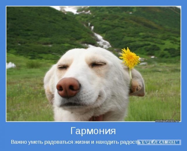 Больше позитива, друзья!