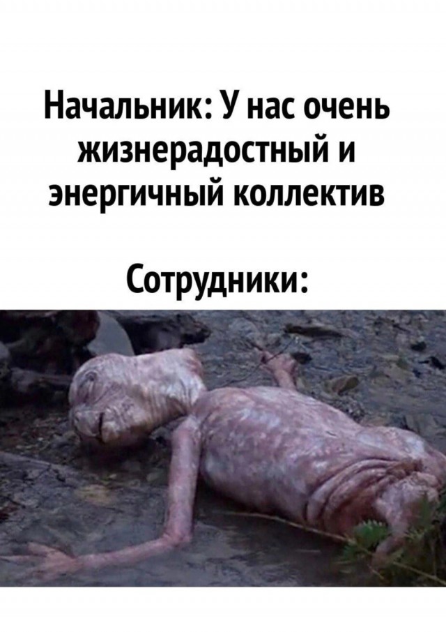 Весёлый полтишок 10.12.24
