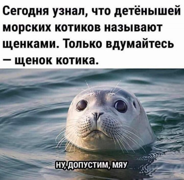 Завалялось тут случайно немного забавных картинок