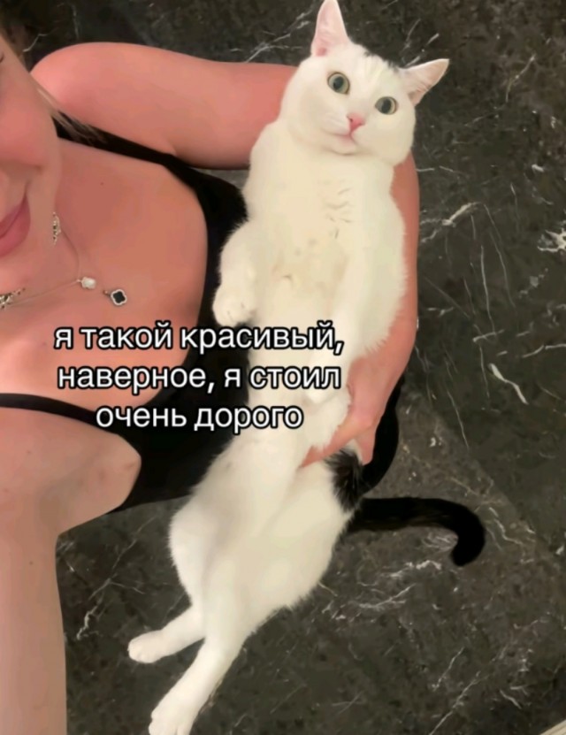Так себе картинки 13.05.25