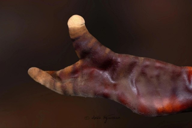 Жутковатое создание из подвала в Вырице может переехать только с санкции Минприроды