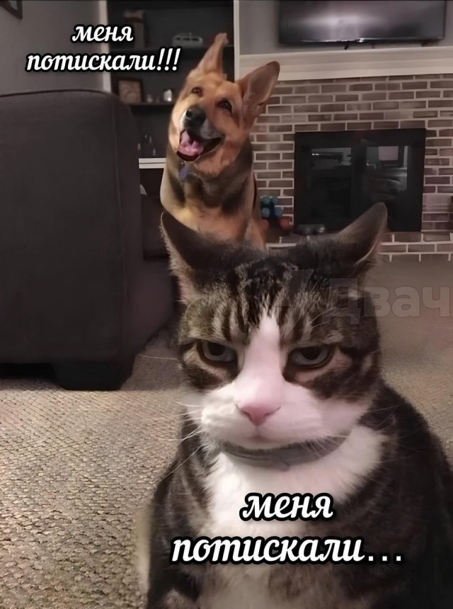 Есть только два гендера