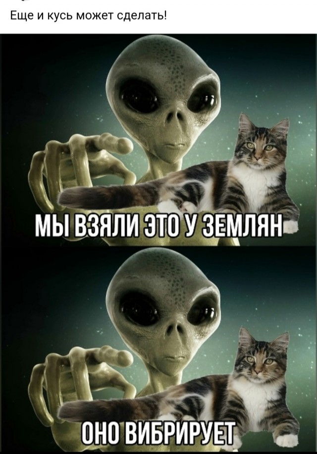 Быстрая деградация
