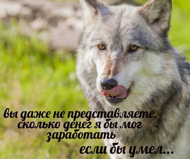 Картинки среды