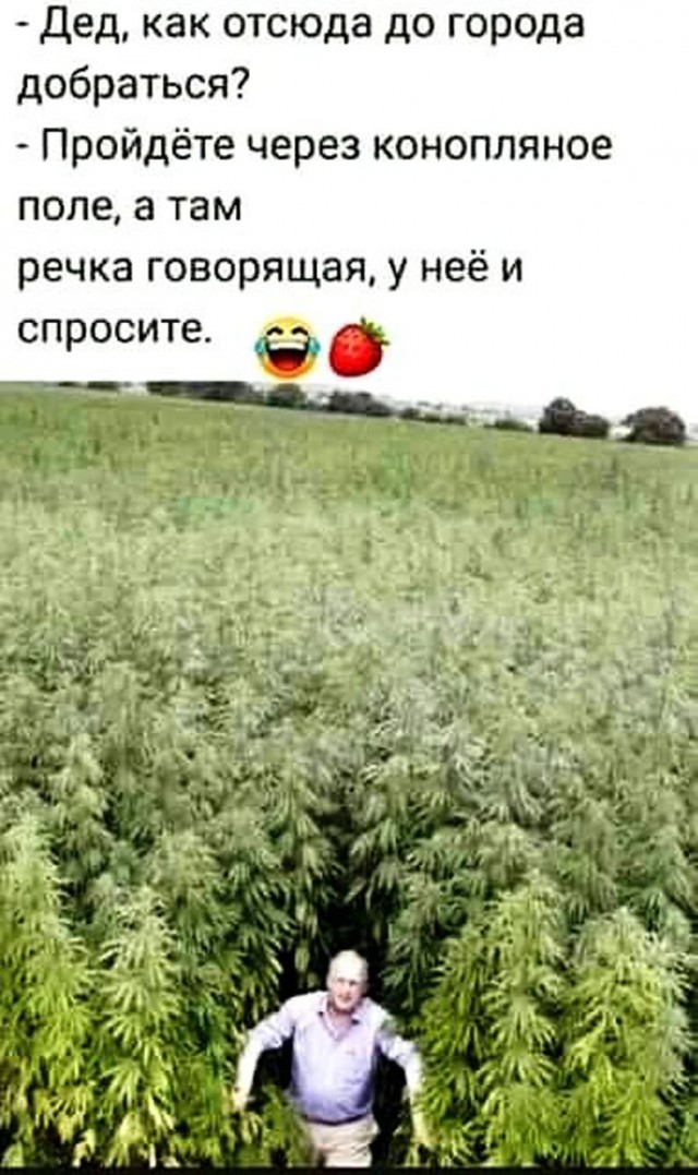 Прикольные и просто красивые картинки 24.10.2025