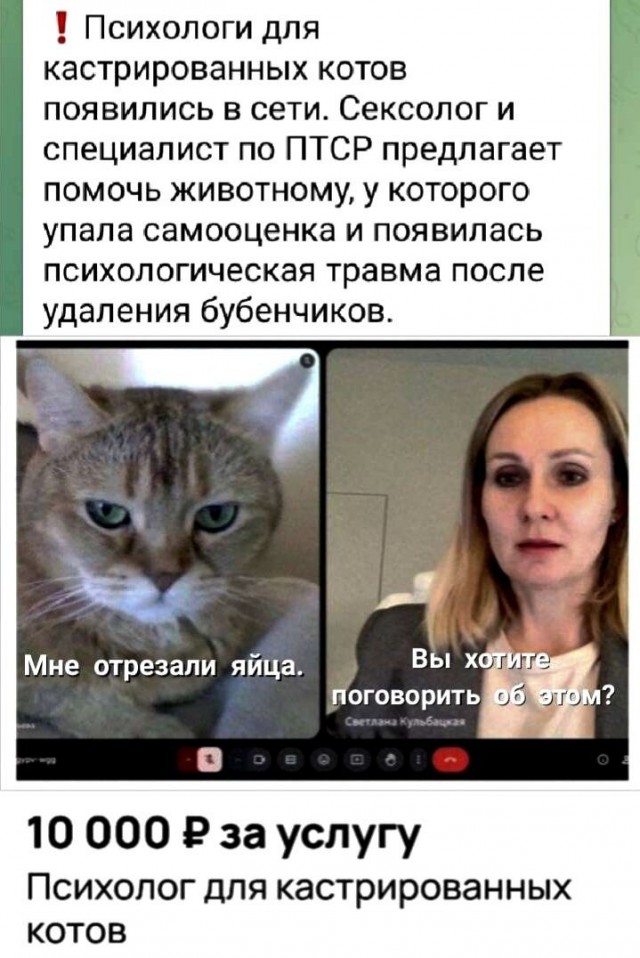Забавные и не очень скромные картинки - 17