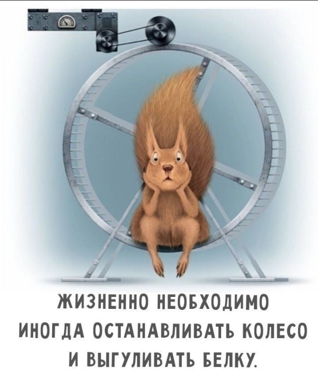 Субботние картинки