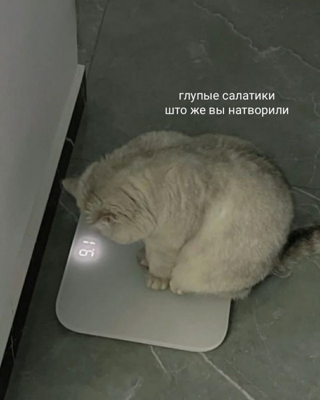Прикольные и просто красивые картинки 06.01. 2026