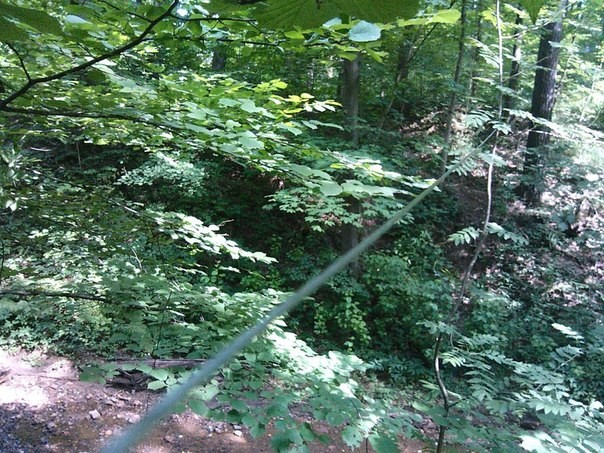 Внимание велосипедиствов!