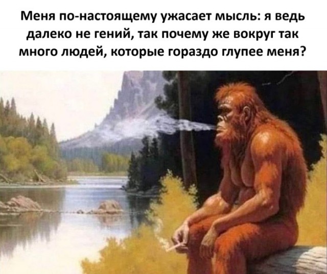 Картинки для деградации 274 (разной степени свежести)